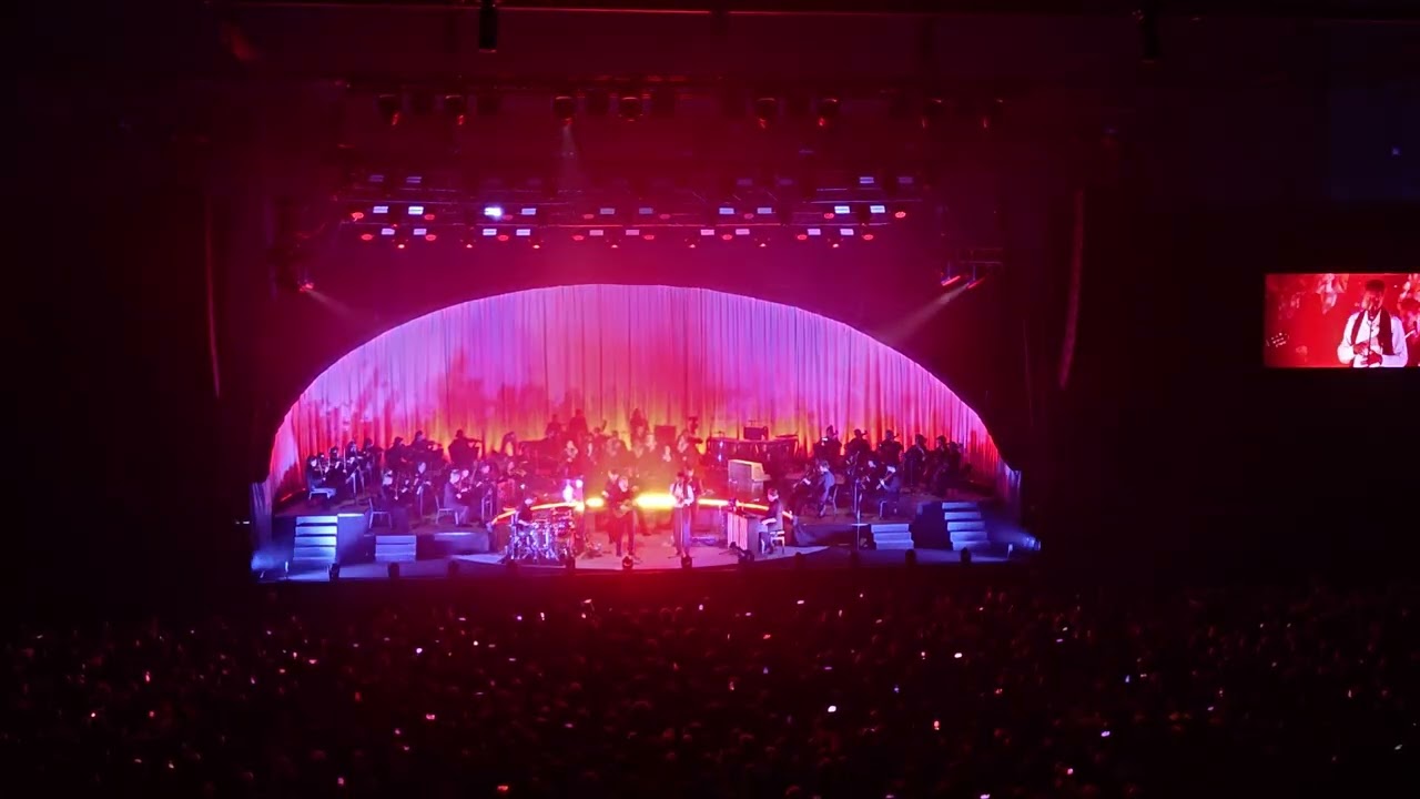 HAEVN - Trade it for the night - Afas Live - 8 February 2026 