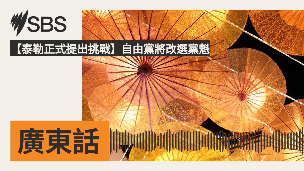 【泰勒正式提出挑戰】自由黨將改選黨魁 | SBS Cantonese - SBS廣東話節目