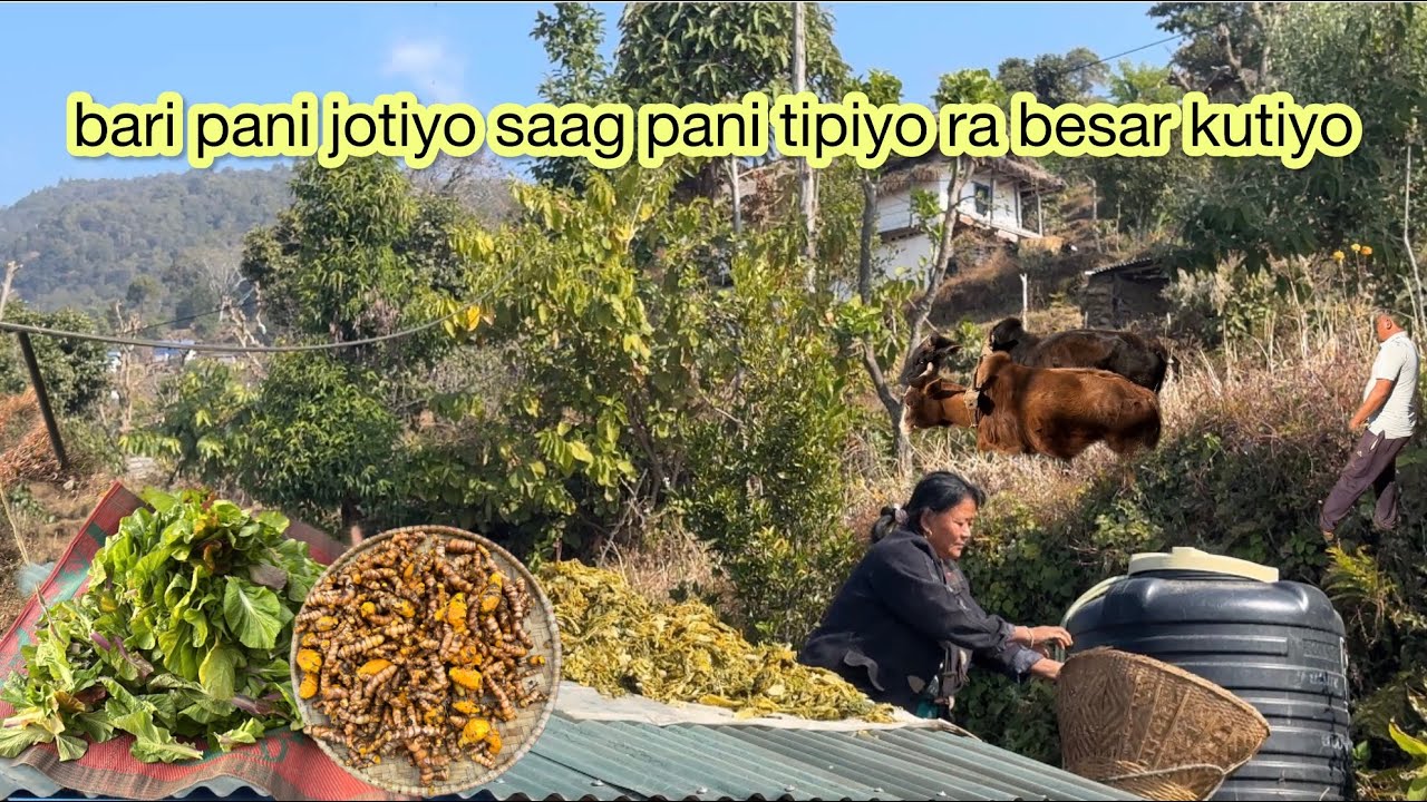 village vlog environmental 