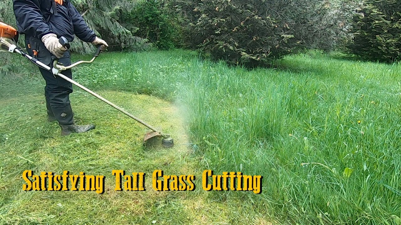 Mowing Down Tall Grass | Stihl FS-131 String Trimmer #Satisfying #Stihl
