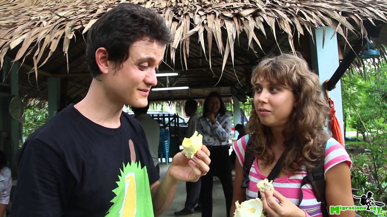 Amazing DURIAN at a Fruit Farm in Nonthaburi, Thailand (นนทบุรี)