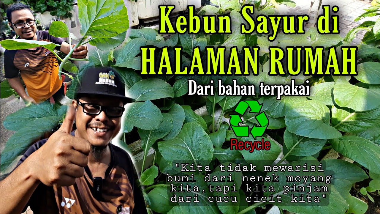 Tanam sayur atas simen depan rumah guna Bahan Terpakai | Mini Garden