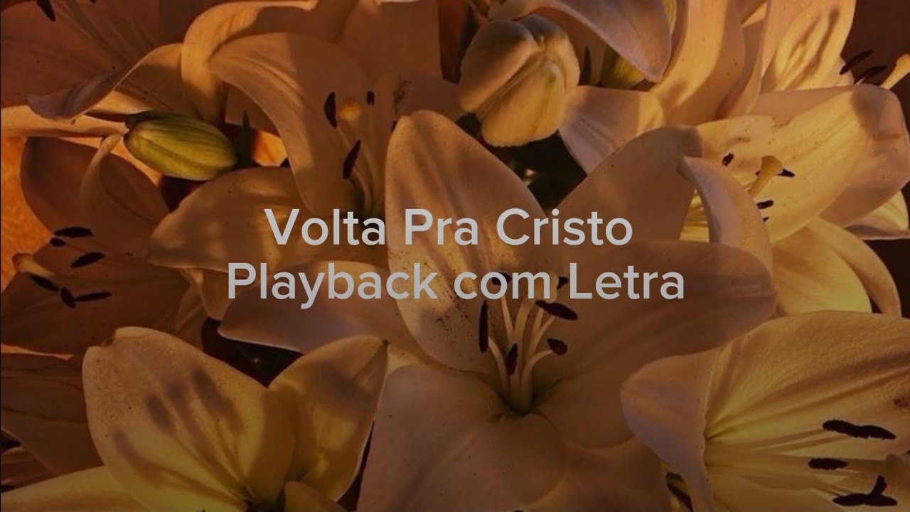 Volta Pra Cristo Playback com Letra 