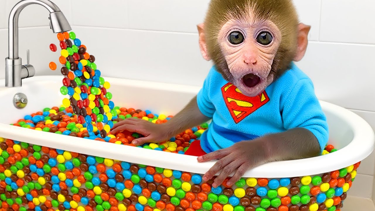 O Macaco Bon Bon: A Viagem de Cuidar do Seu Irm&atilde;o com Amor⎮MACACO BON BON