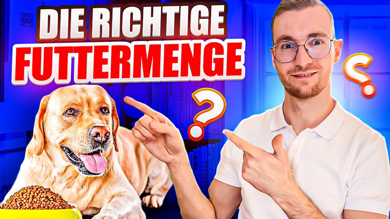 Die richtige FutterMenge❓