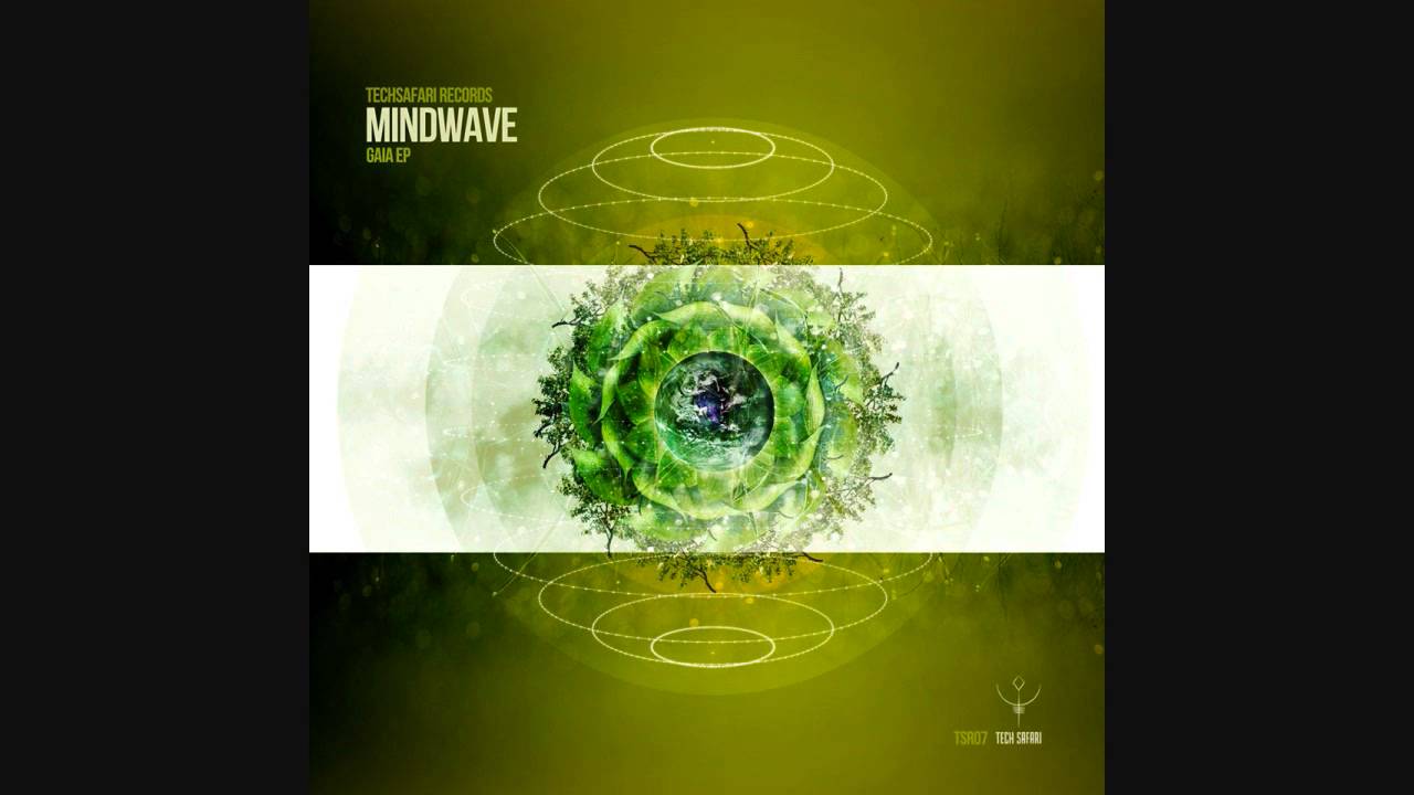 Mindwave - Long Delayed Echoes