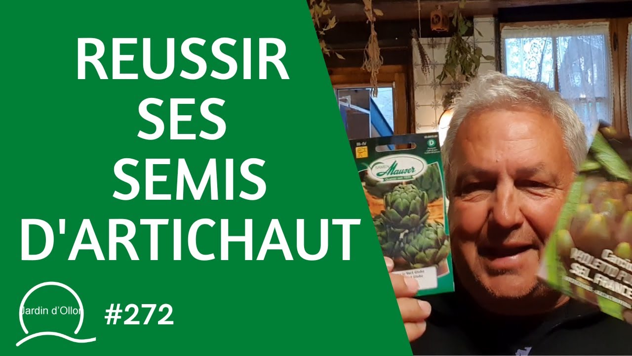 #272-Réussir ses semis d'artichaut
