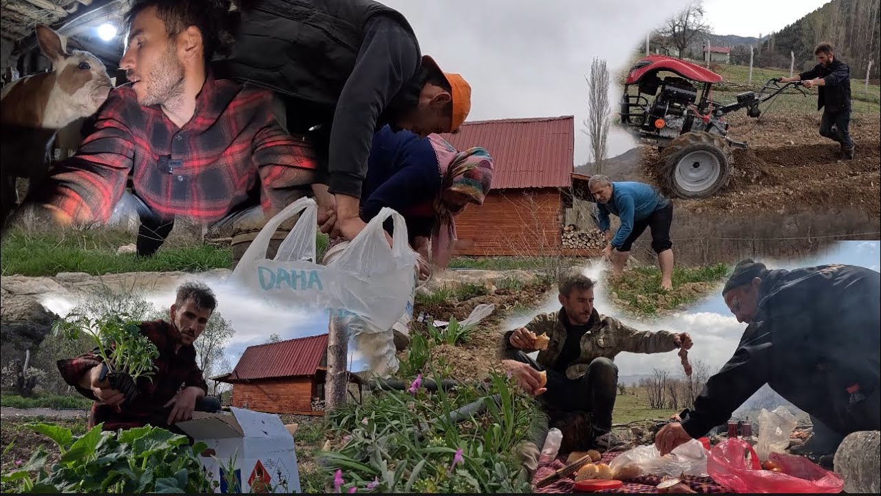 BUNGALO EV BAHÇESİNDE EKİM ZAMANI|DAĞDA AZIK VAKTİ|KÖY HAYATINDA YORUCU İŞLER
