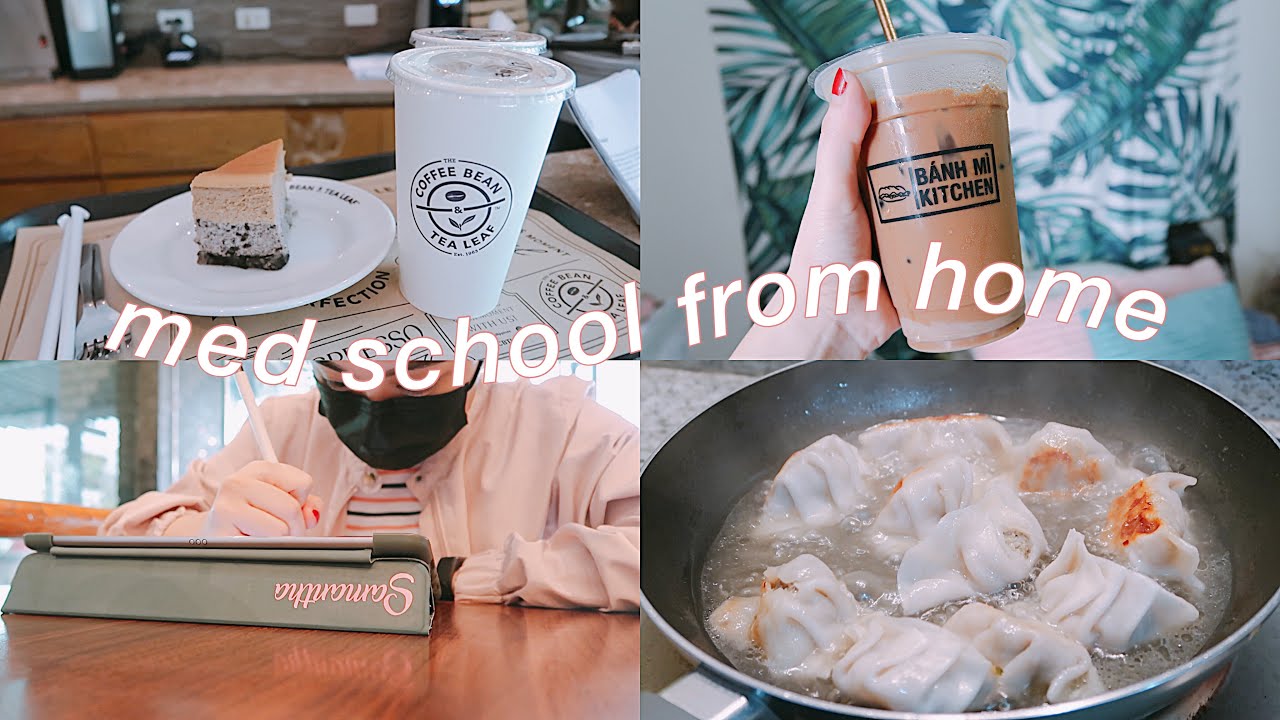 a vlog: cafe study vlog for med school exam week (productive day with me)