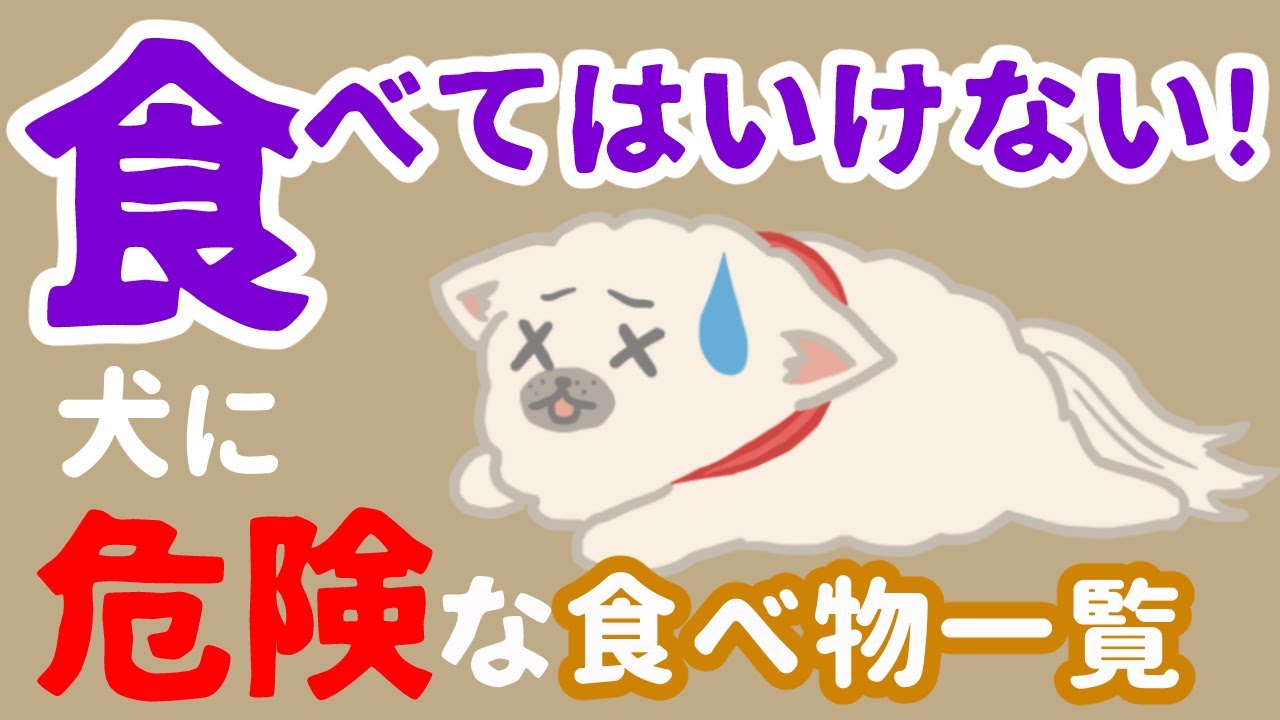 絶対ダメ！犬が食べてはいけない危険な食べ物一覧