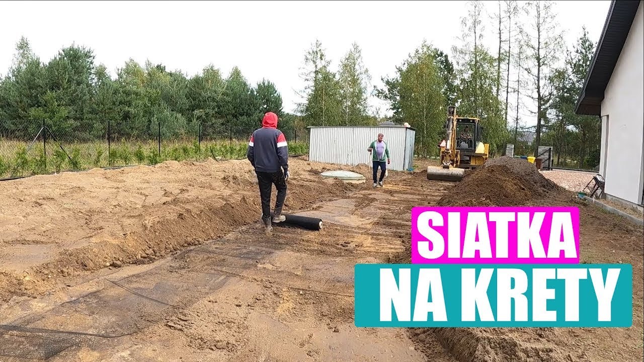Skuteczny sposób na krety. Rozkładamy siatkę na krety, dlaczego warto?