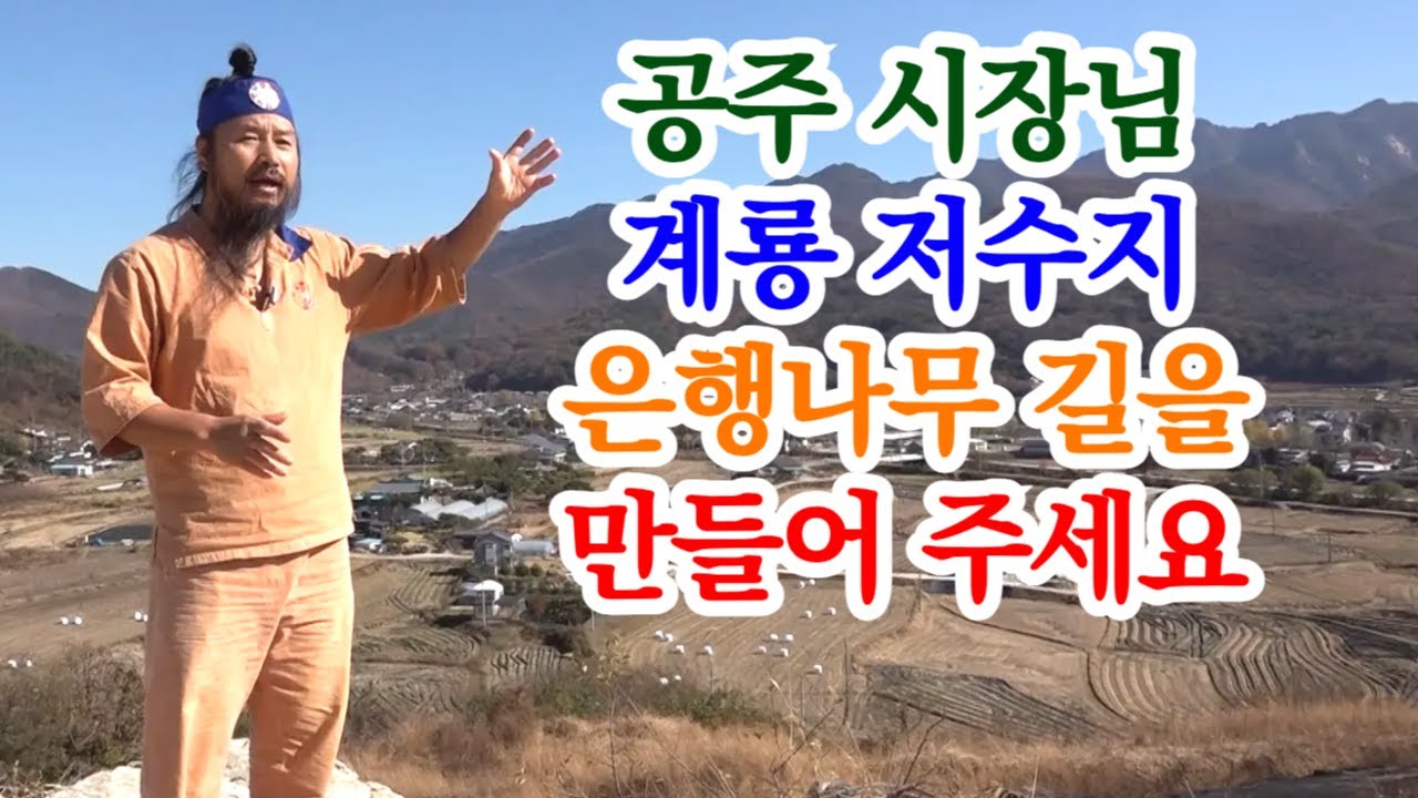 [유교약사생불사 1895강] 공주 시장님 계룡 저수지 은행나무 길을 만들어 주세요.
