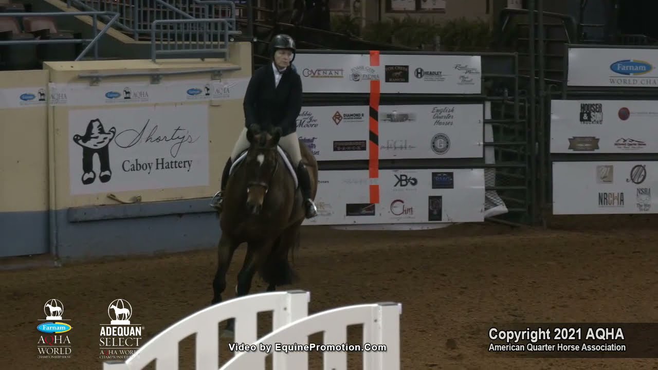 2021 AQHA Senior Working Hunter