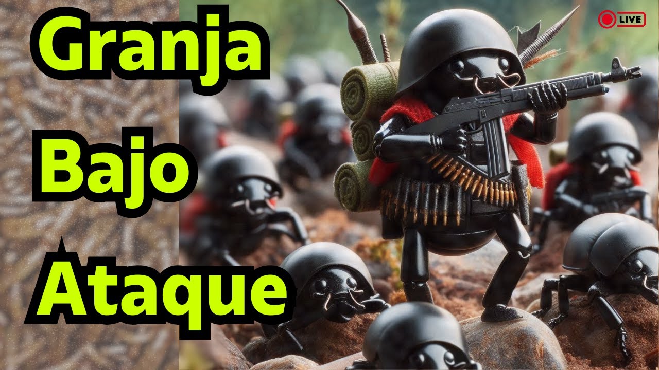 Hormigas vs. Tenebrios: El ataque que casi destruye mi producci&oacute;n