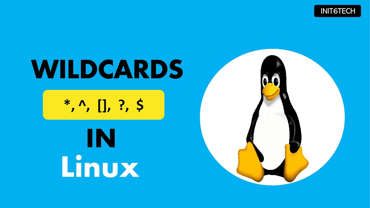 Wildcards in Linux | Wildcards with Examples Part1