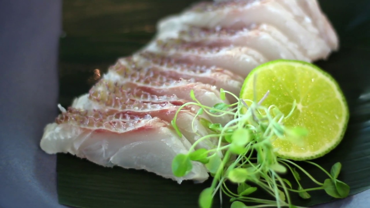 COMO FAZER SASHIMI DE PARGO