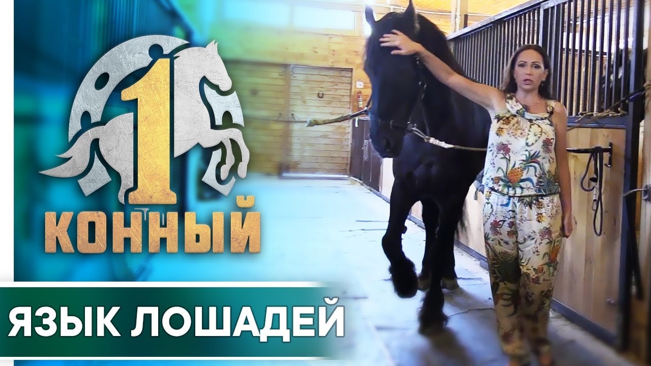 Язык лошадей