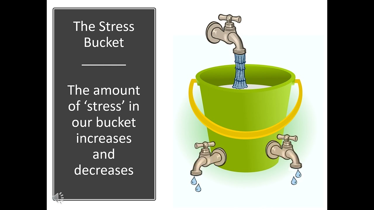 Working with overwhelming emotions - the 'Stress Bucket' technique