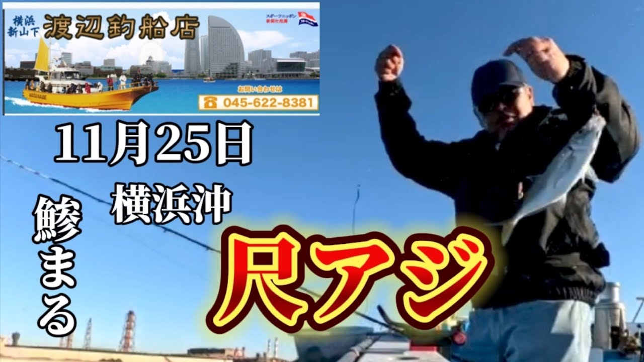 【鯵まるチャンネル】渡辺釣船店LTアジ‼️  横浜沖で尺アジが釣れる‼️  半端じゃない引き‼️