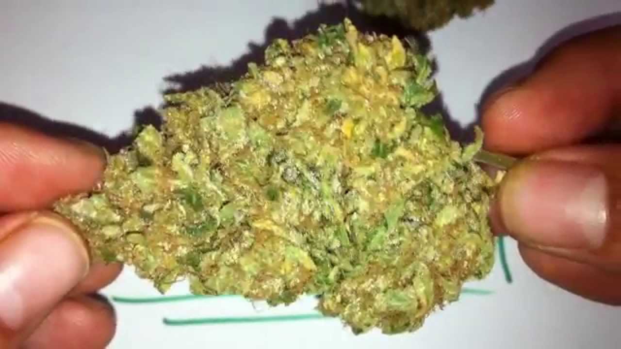Knottyy's Chemdawg #4