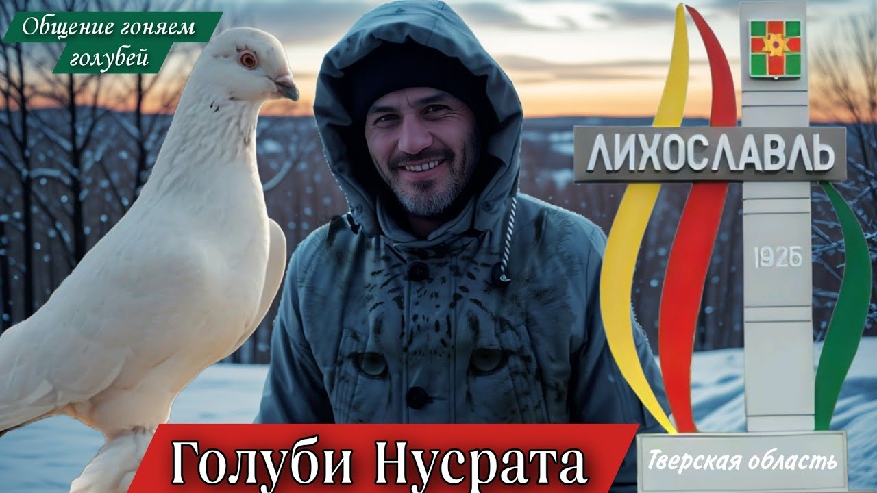 В гостях у Нусрата, Тверская область. Голуби самаркандские, исфаринские, бакинские. Игровые #голуби 