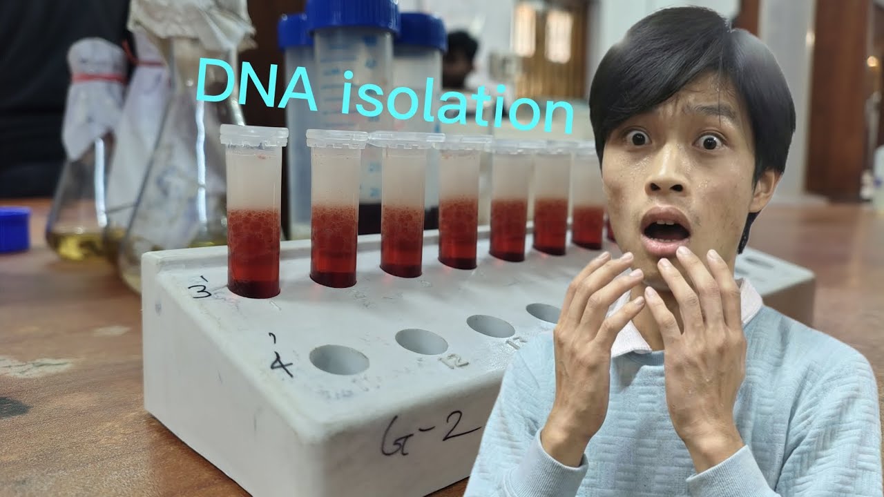 Aaj Practical Mein DNA Isolation Kiya 🧬 | Microbiology Lab Vlog