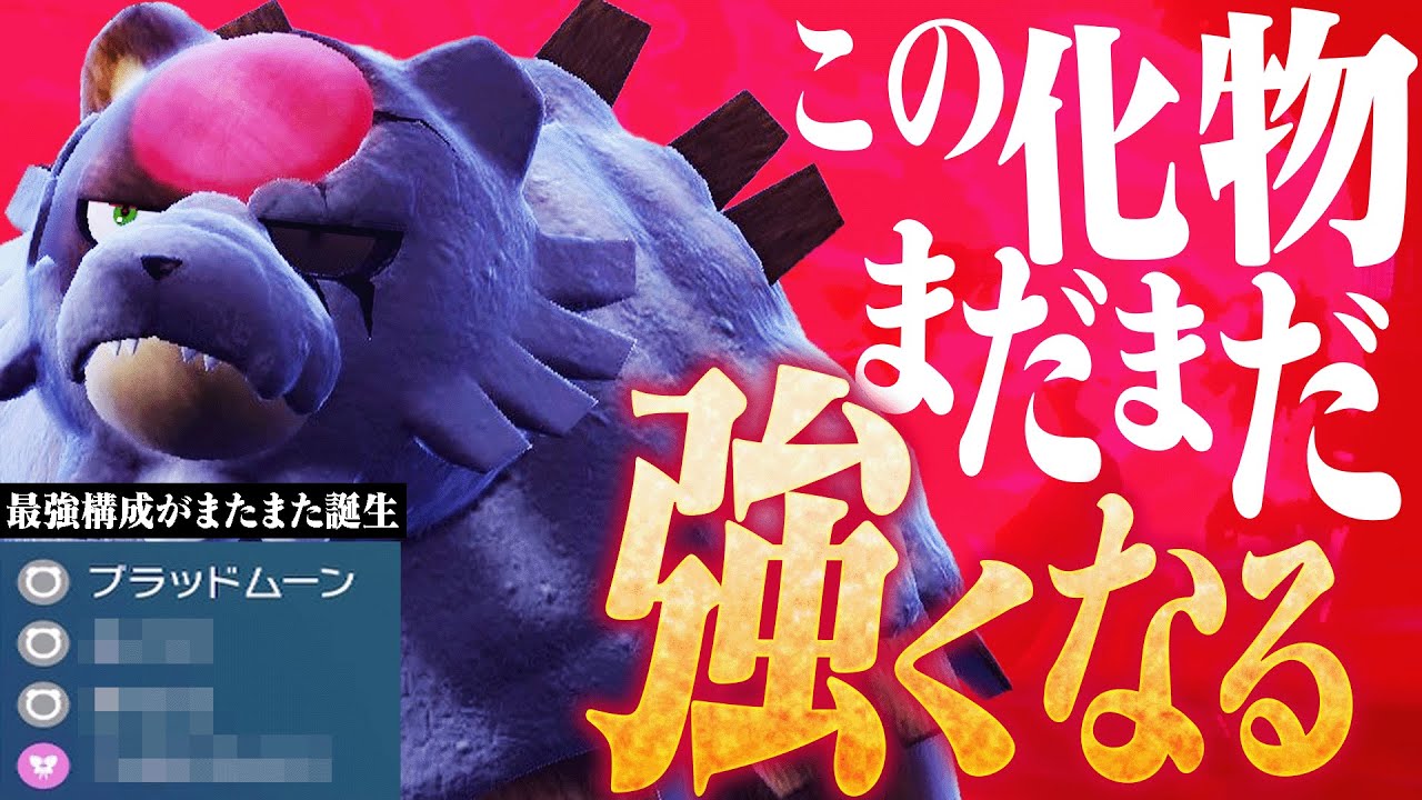 【まだ強くなるのかよ】上位勢によってガチグマの強すぎる新型が開拓されてしまう。【ポケモンSV】