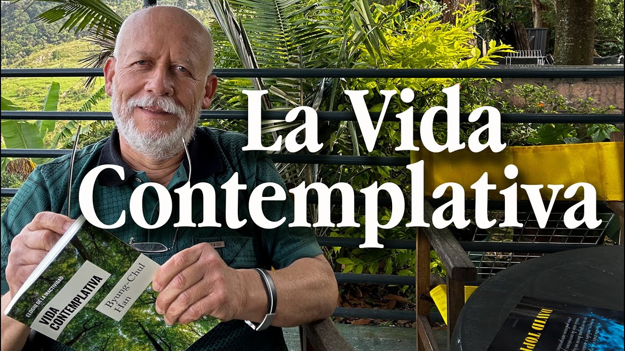 El beneficio de contemplar la vida-Reflexi&oacute;n