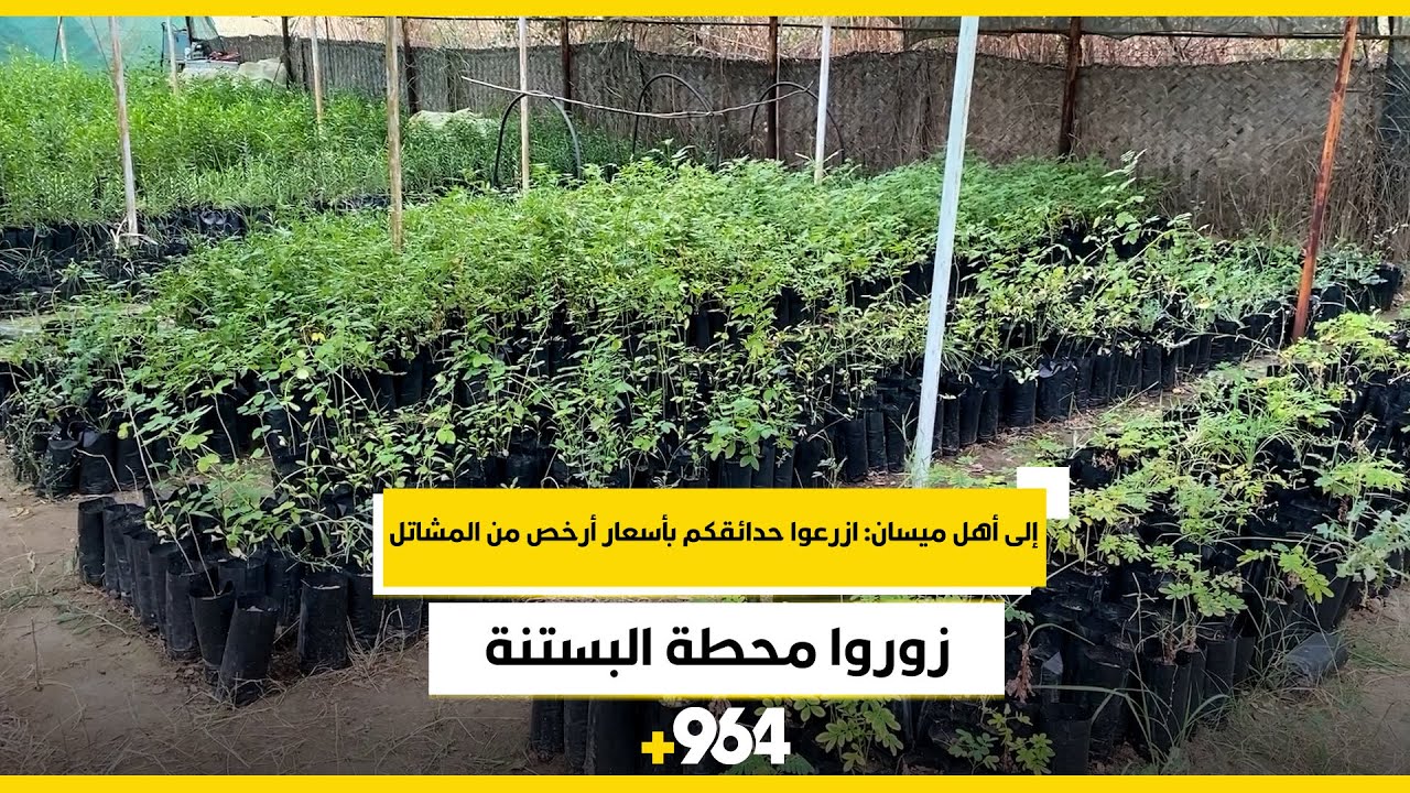 إلى أهل ميسان: ازرعوا حدائقكم بأسعار أرخص من المشاتل.. زوروا محطة البستنة