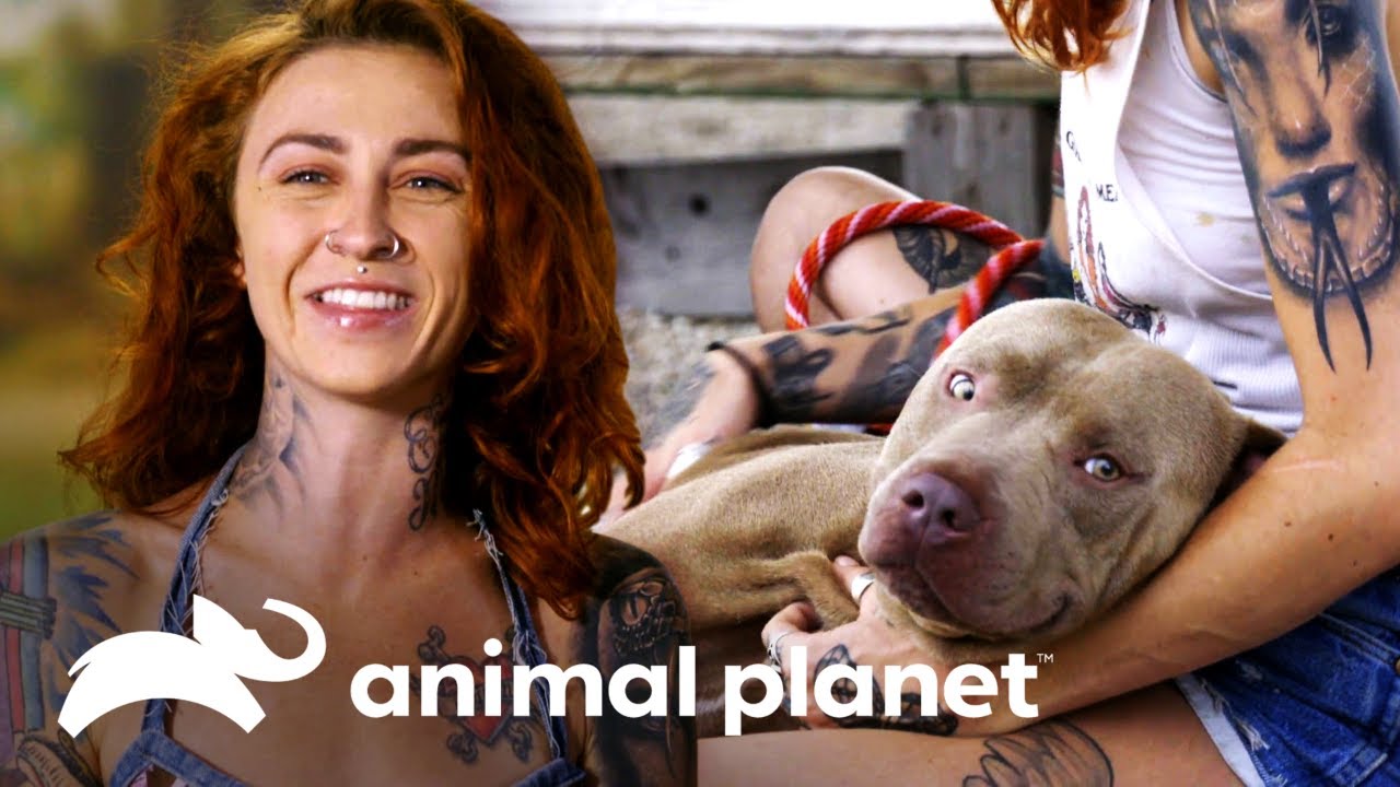 ¡Cómo rescatar a 3 perros al estilo Villalobos! | Pit bulls y convictos | Animal Planet