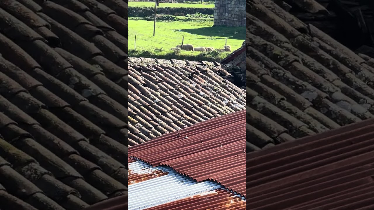 Que belo dia na Natureza onde só se ouve os sons da Natureza.