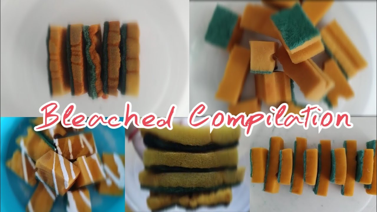 Bleached Sponges Ripping Scours Off Compilation | Sponge ASMR