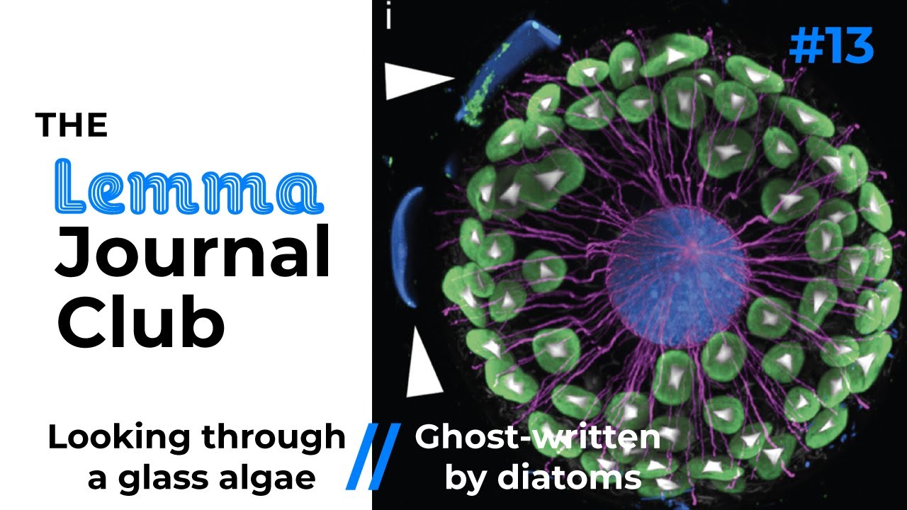 Looking through a glass algae // Ghost-written by diatoms [13]