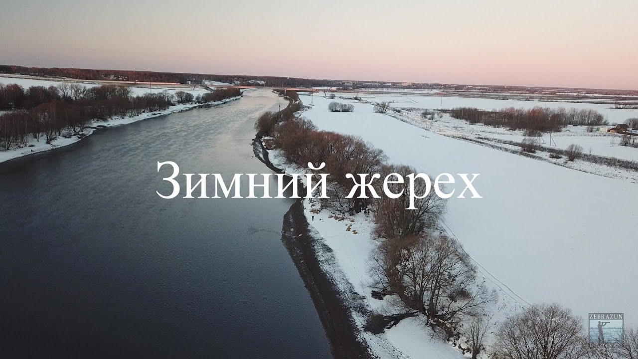 Зимний жерех
