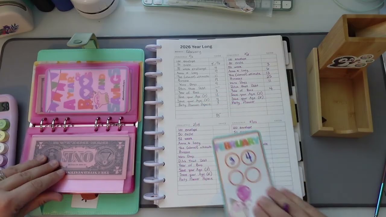 2026 year long challenges   Budget with me February week 2