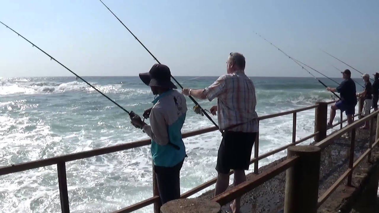 Shad fishing Uvongo pier 2014 09 04