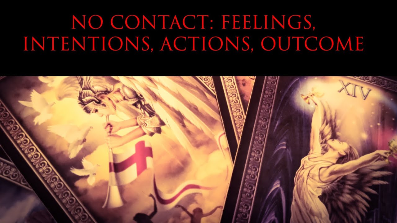 PICK A CARD: NO CONTACT: THEIR FEELINGS. INTENTIONS. ACTIONS. OUTCOME. TAROT TIMELESS READING.