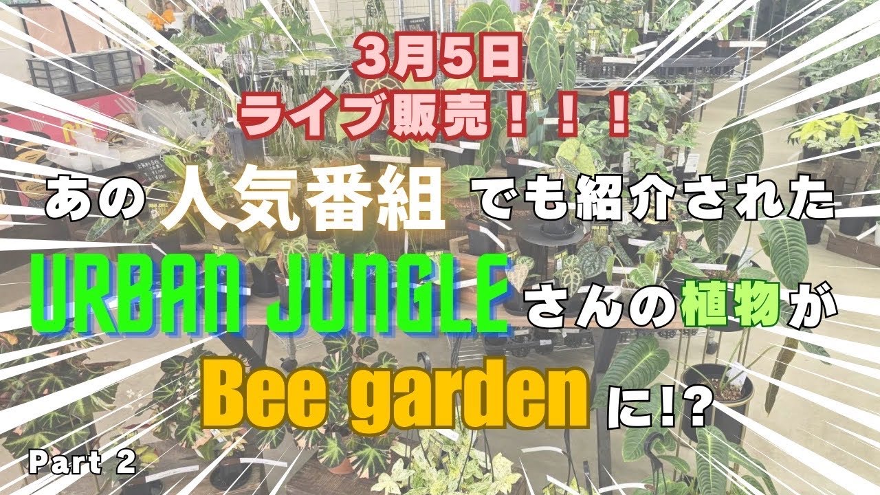 Bee garden がライブ配信中！