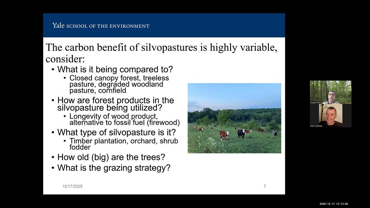 silvopasture soil carbon noon 17december2025