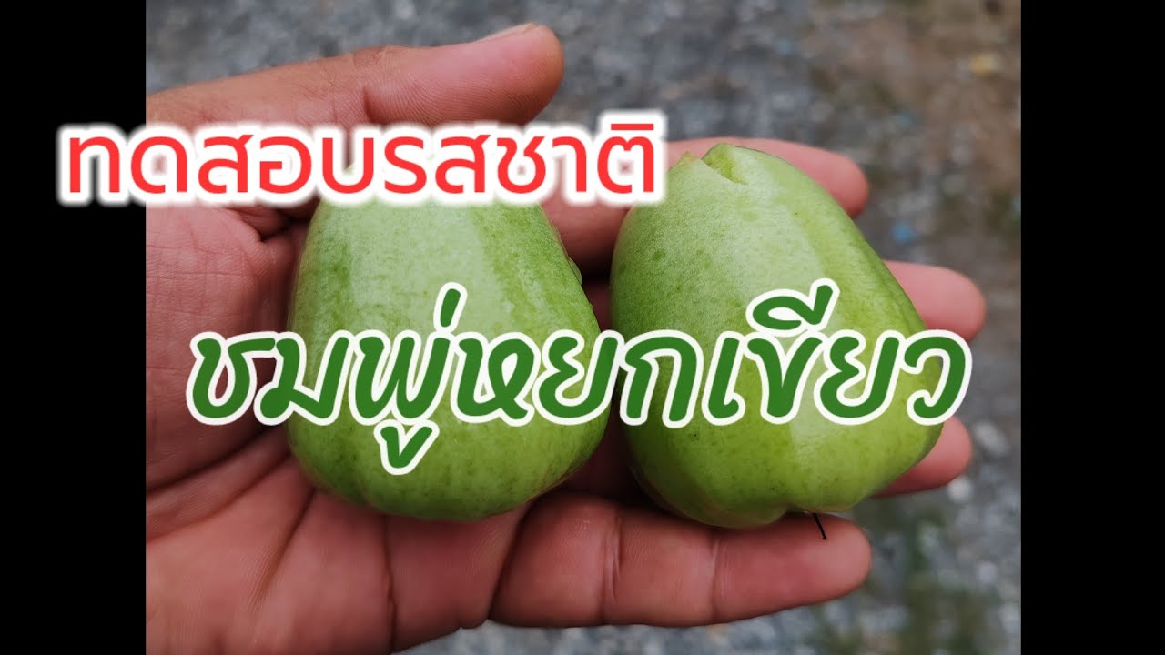 EP.34 รีวิว ชมพู่หยกเขียว อร่อยแค่ไหน มาดูกัน