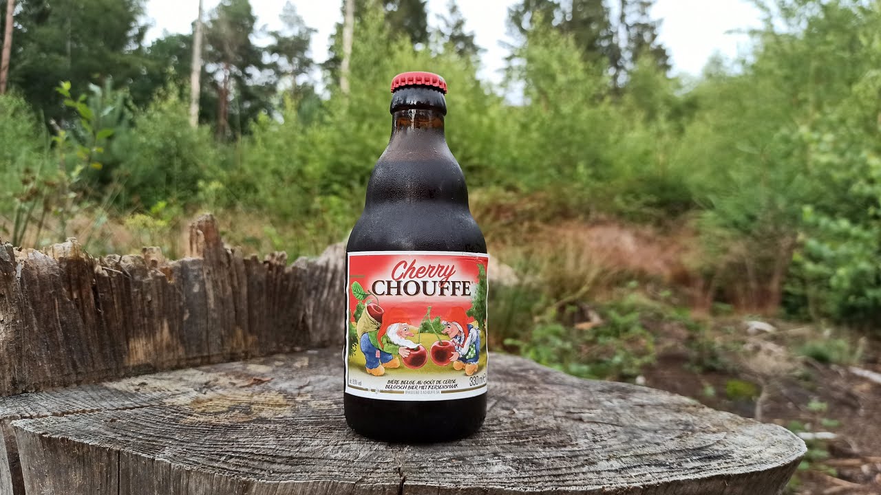 Ich teste das Belgisches Kirschbier | Biertest #73