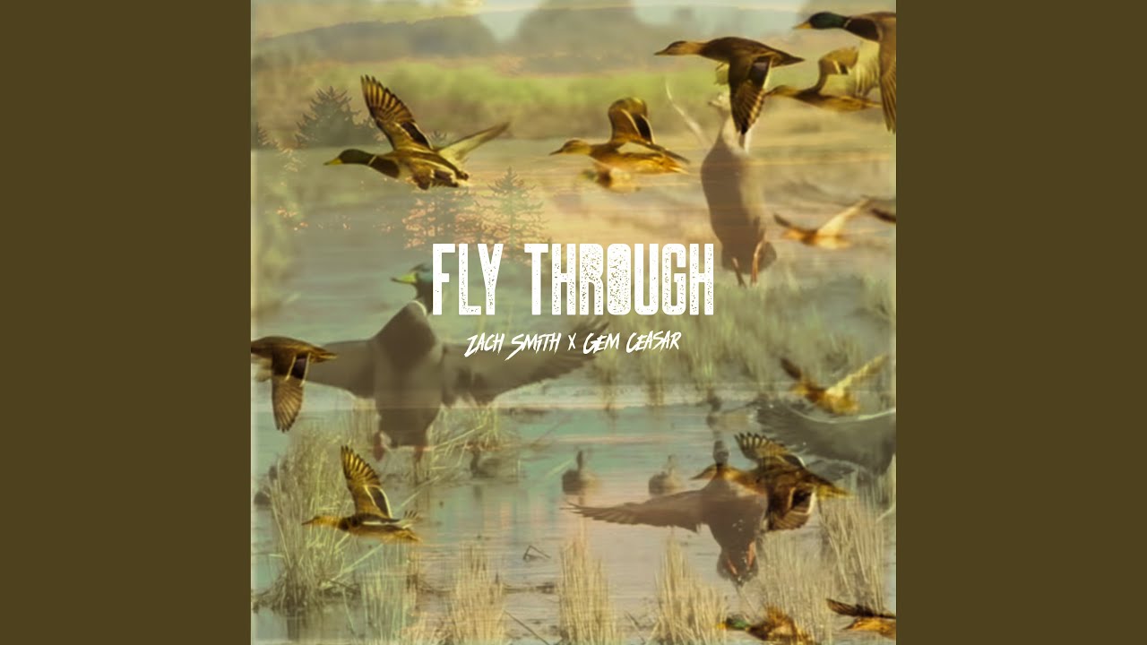 Fly Through