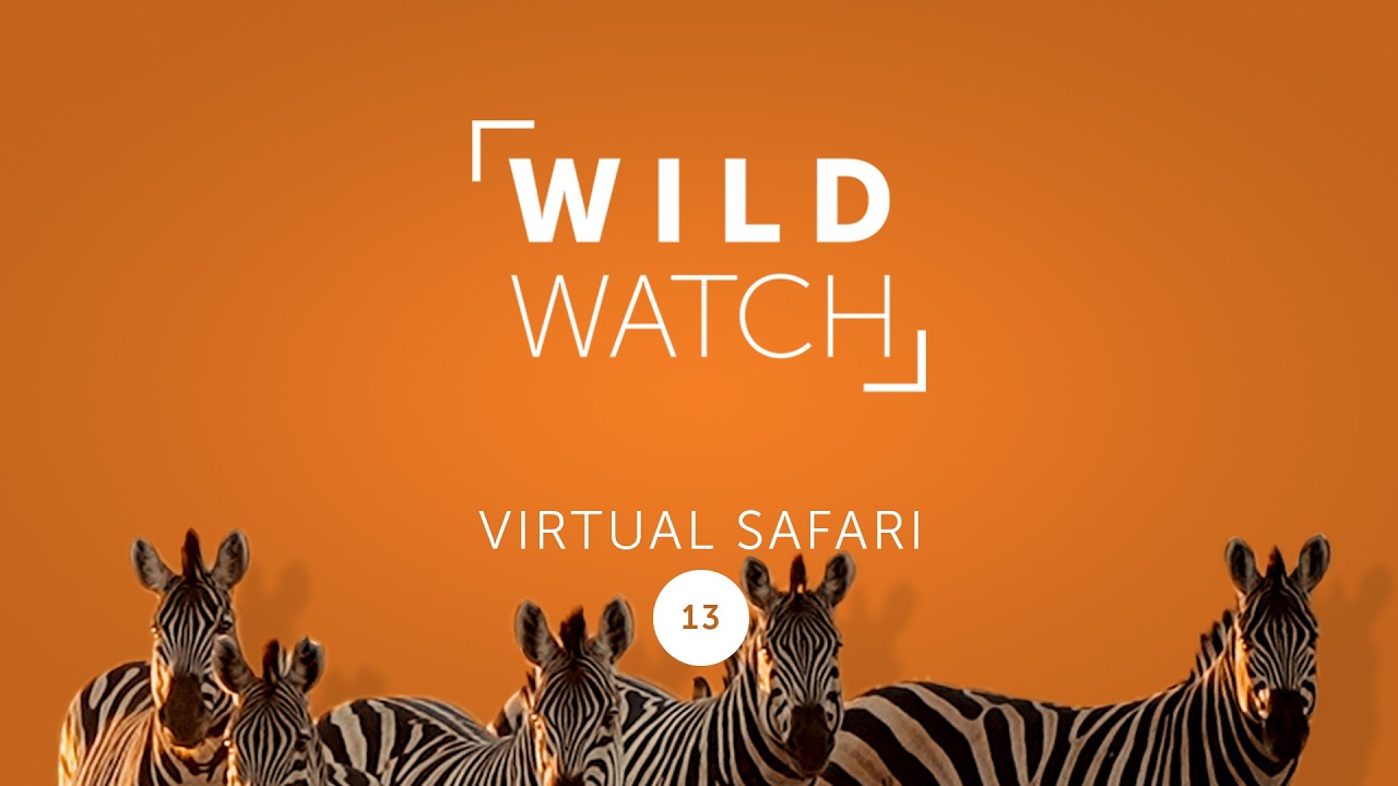 Discovering the Delta | WILDwatch Virtual Safari 13