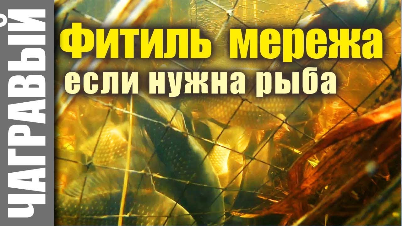 Чем деды ловили рыбу: фитиль, вентель, морда, мережа | Мини-обзор