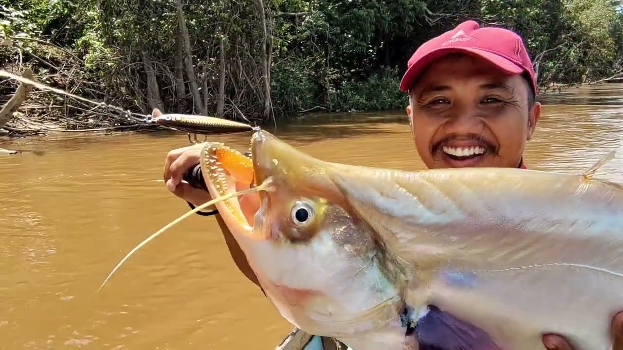Dapat rejeki saat menolong kucing yang di buang ! Rapala Flat Rap Seluang