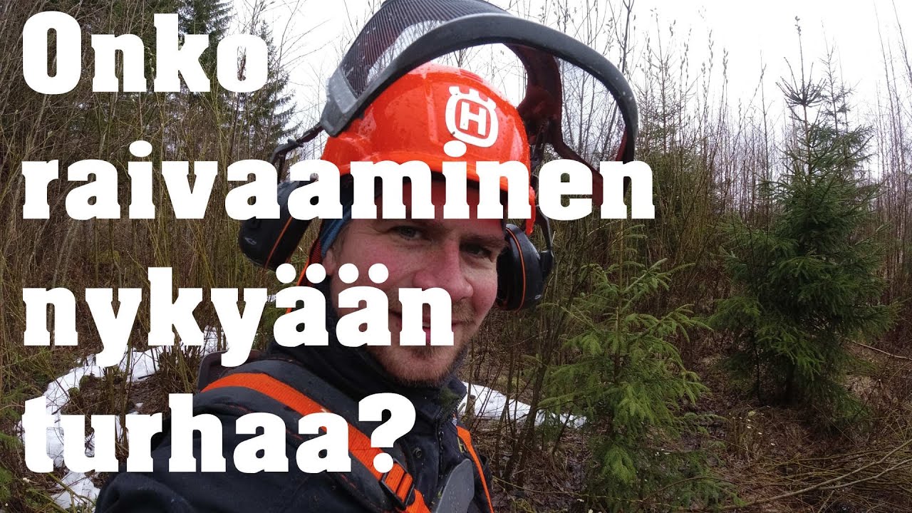 Raivattu vs Raivaamaton taimikko. Onko eroa?