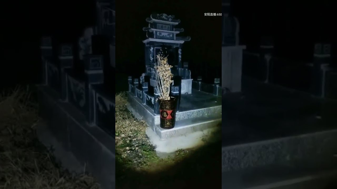 户外探险大壮 王家祖坟 2026.2.25