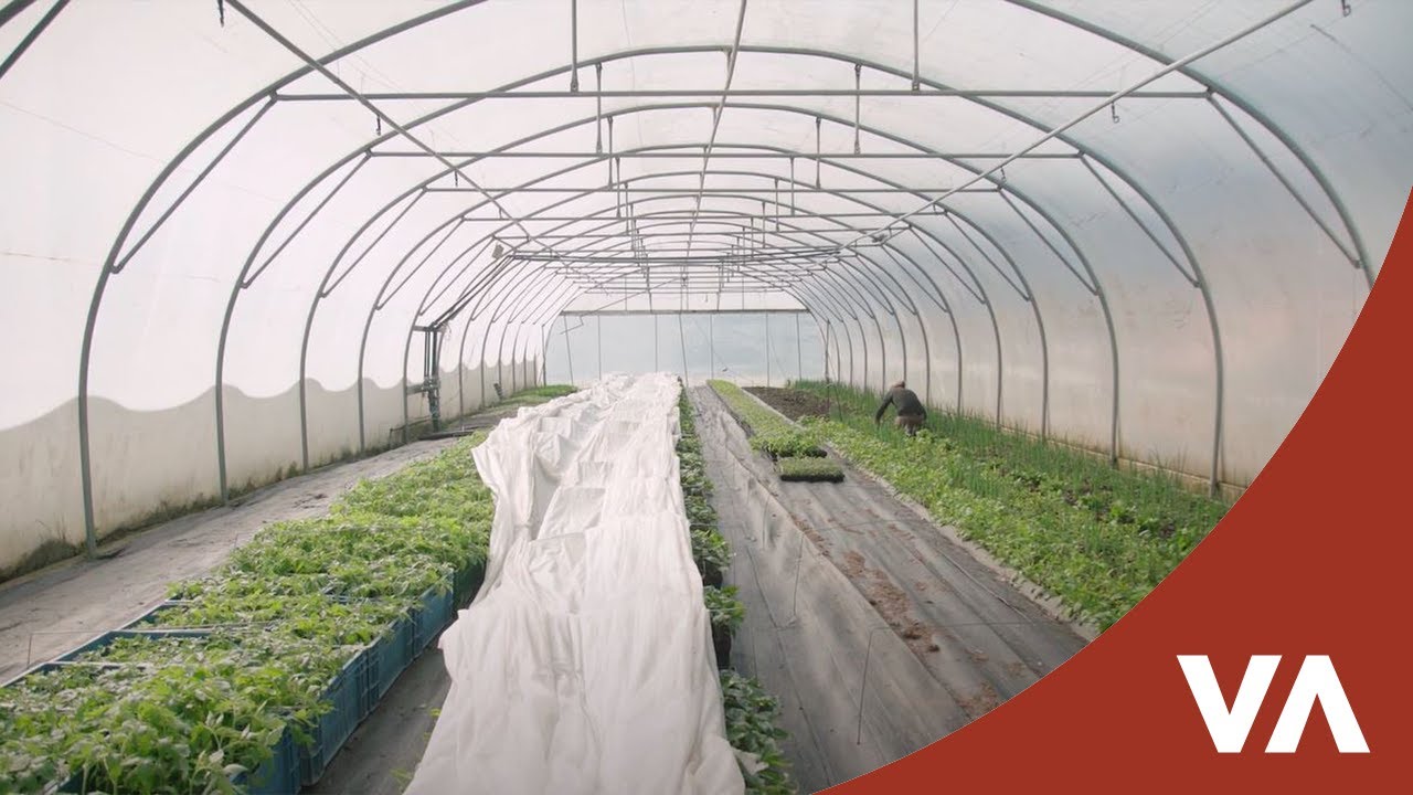 La chaudière biomasse à plaquettes du Grand Potager