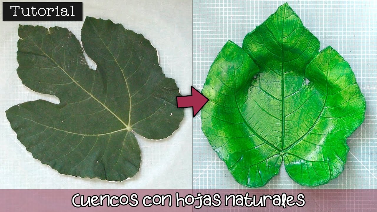 Tutorial: Cuencos con hojas naturales 🌱 y pasta de modelar 😍