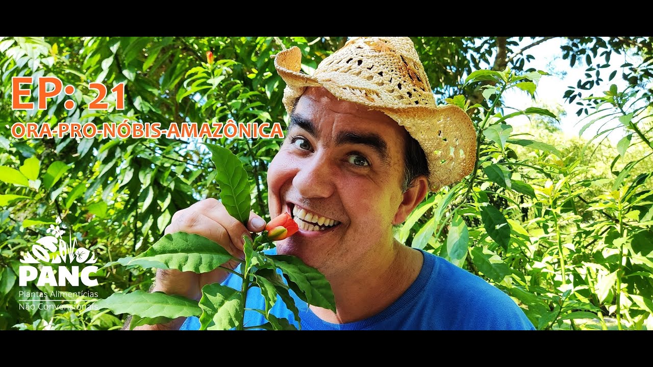 EPISÓDIO 21 - ORA-PRO-NÓBIS-AMAZÔNICO | 